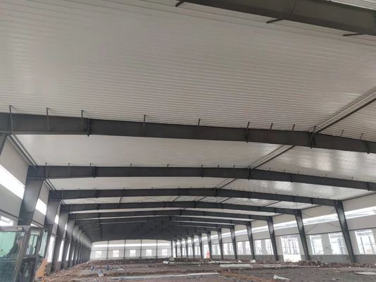 स्टील स्ट्रक्चर लॉजिस्टिक वेयरहाउस में मजबूत और टिकाऊ मुख्य फ्रेम के लिए हॉट-रोल्ड या वेल्डेड एच बीम और कॉलम